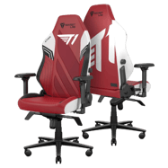 iZu’s chair: Secretlab x T1 Gaming Chair